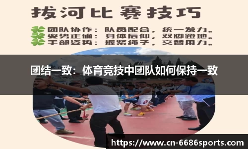 6686体育官网