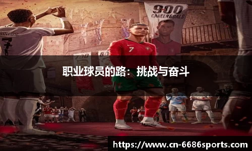 6686体育平台
