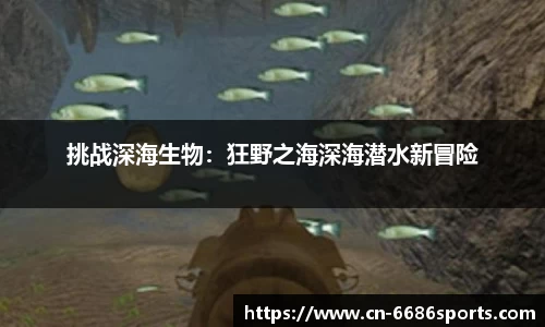 6686体育官网